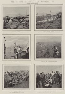 Die britischen Gefangenen in Nooitgedacht von English Photographer