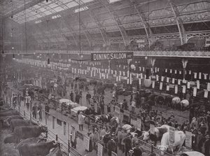 Die Viehschau, Royal Agricultural Hall von English Photographer