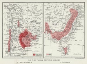 Die Hauptweizenanbaugebiete, Südamerika, Australien (Foto)