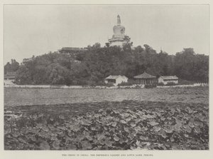 Die Krise in China, der Garten des Kaisers und der Lotussee in Peking von English Photographer