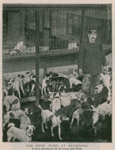 Das Hundeheim in Battersea von English Photographer