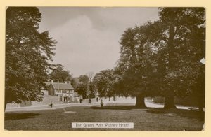 The Green Man, Putney Heath, London