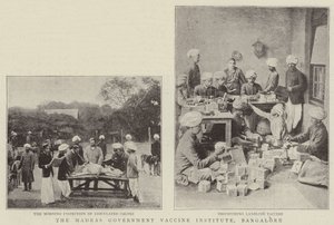 Das Impfstoffinstitut der Regierung von Madras, Bangalore von English Photographer