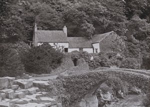 Die alte Mühle, Jesmond Dene von English Photographer