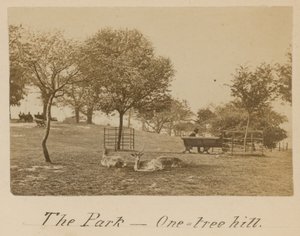 Der Park - One Tree Hill, Greenwich