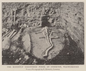 Das kürzlich entdeckte Fossil in Stockton, Warwickshire von English Photographer