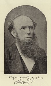 Der ehrwürdige J Clifford, DD von English Photographer