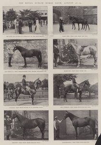 Die Royal Dublin Horse Show, 26.-29. August