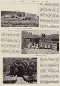 Die Quelle des Johannis Wassers
