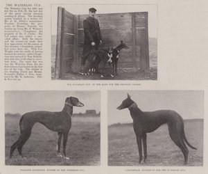 Der Waterloo Cup von English Photographer