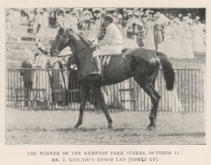 Der Gewinner der Kempton Park Stakes, 11. Oktober, Mr. T. Kincaids Epsom Lad (Gomez im Sattel) von English Photographer
