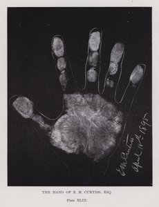 Die Hand von E. M. Curtiss von English Photographer