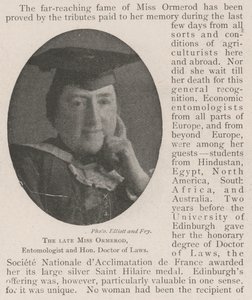 Die verstorbene Miss Ormerod, Entomologin und Ehren-Doktor der Rechtswissenschaften von English Photographer