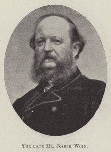 Der verstorbene Herr Joseph Wolf von English Photographer