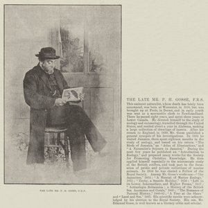 Der verstorbene Mr. P. H. Gosse, FRS von English Photographer