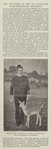 Tommy, das Haustier-Reh des 4. Bataillons Worcestershire Regiment von English Photographer