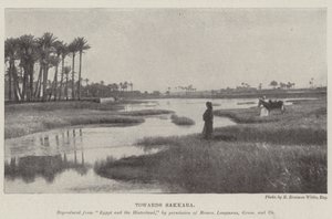 Richtung Sakkara von English Photographer