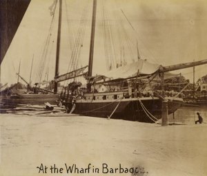 Kai, Bridgetown, Barbados von English Photographer
