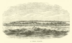 Eine Koralleninsel von English School