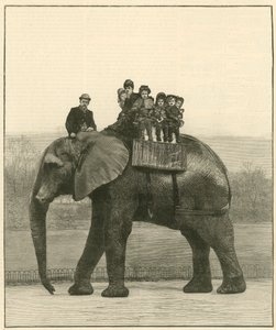 Eine Abschiedsfahrt auf Jumbo von English School