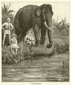 Ein fischender Elefant (Gravur)