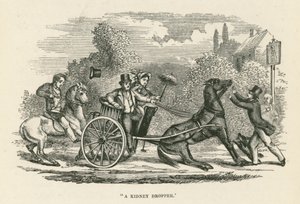 "Ein Nierentropfer" (Gravur)