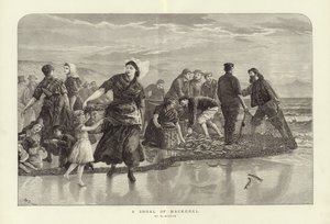Ein Schwarm Makrelen von W. Duncan von English School