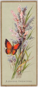 Eine viktorianische Weihnachtskarte mit einem Schmetterling zwischen hohen Gräsern, ca. 1880