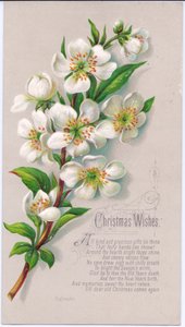 Eine viktorianische Weihnachtskarte mit einem Strauß Weihnachtsrosen und einem Vers, ca. 1880