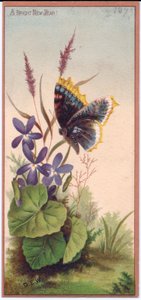Eine viktorianische Neujahrskarte mit Veilchen und einem Schmetterling, um 1880