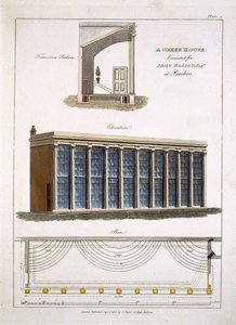Ein Gewächshaus für John Elliott in Pimlico, London, 1806 von English School