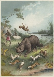 Eine Nashornjagd von English School