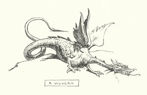 Ein Wyvern