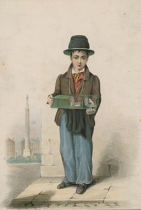 Ein Junge, der einen Käfig mit weißen Mäusen hält von English School