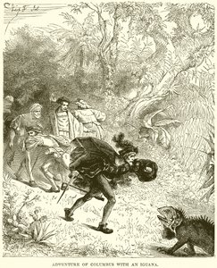 Abenteuer von Kolumbus mit einer Leguan