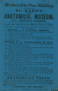 Anzeige für Dr. Khans Grant Anatomisches Museum von English School
