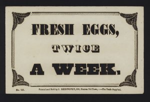 Anzeige: Frische Eier zweimal die Woche (Typ) von English School