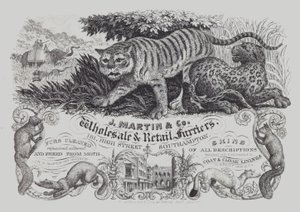 Werbung für J Martin & Co, Groß- und Einzelhändler für Pelze, Southampton, Hampshire von English School