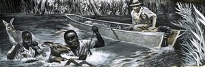 Afrikaner retten Tiere von English School