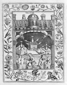 Alchemisches Labor, das verschiedene Formen von Öfen und Gefäßen zeigt, aus Theatrum Chemicum Britannicum von Elias Ashmole, 1652