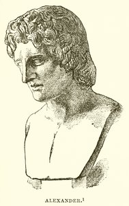Alexander von English School
