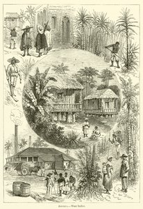 Amerika, Westindien von English School