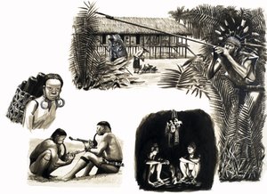 Alte Völker der Welt: Blasrohrjäger von Borneo von English School