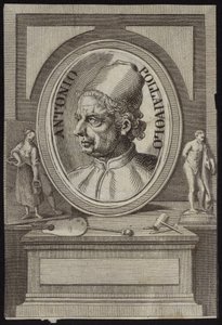 Antonio del Pollaiolo von English School