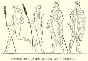 Athleten, Paidotribes und Herold