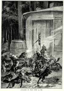 Von wilden Hunden angegriffen (Gravur)
