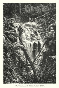 Australien: Wasserfall im Black Spur (Gravur) von English School