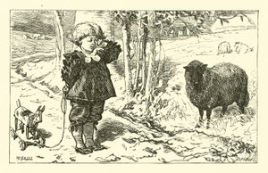 Baa, Baa, Schwarzes Schaf