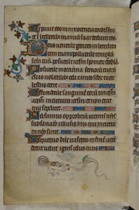 Bas-de-page-Szene eines Hahns und einer geflügelten Schlange im Kampf, mit einer verzierten Initiale 