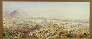 Schlacht von Tamai, Sudan 1884 von English School
